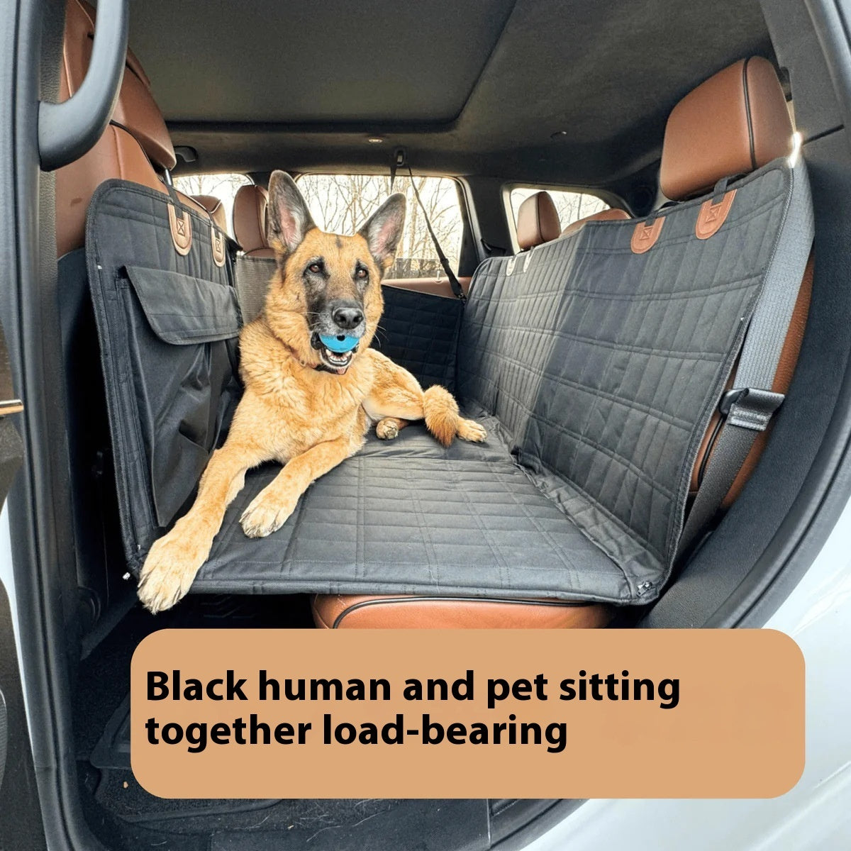 Cama para Perro en Auto - Plataforma Ampliada para Asiento Trasero de Mascotas